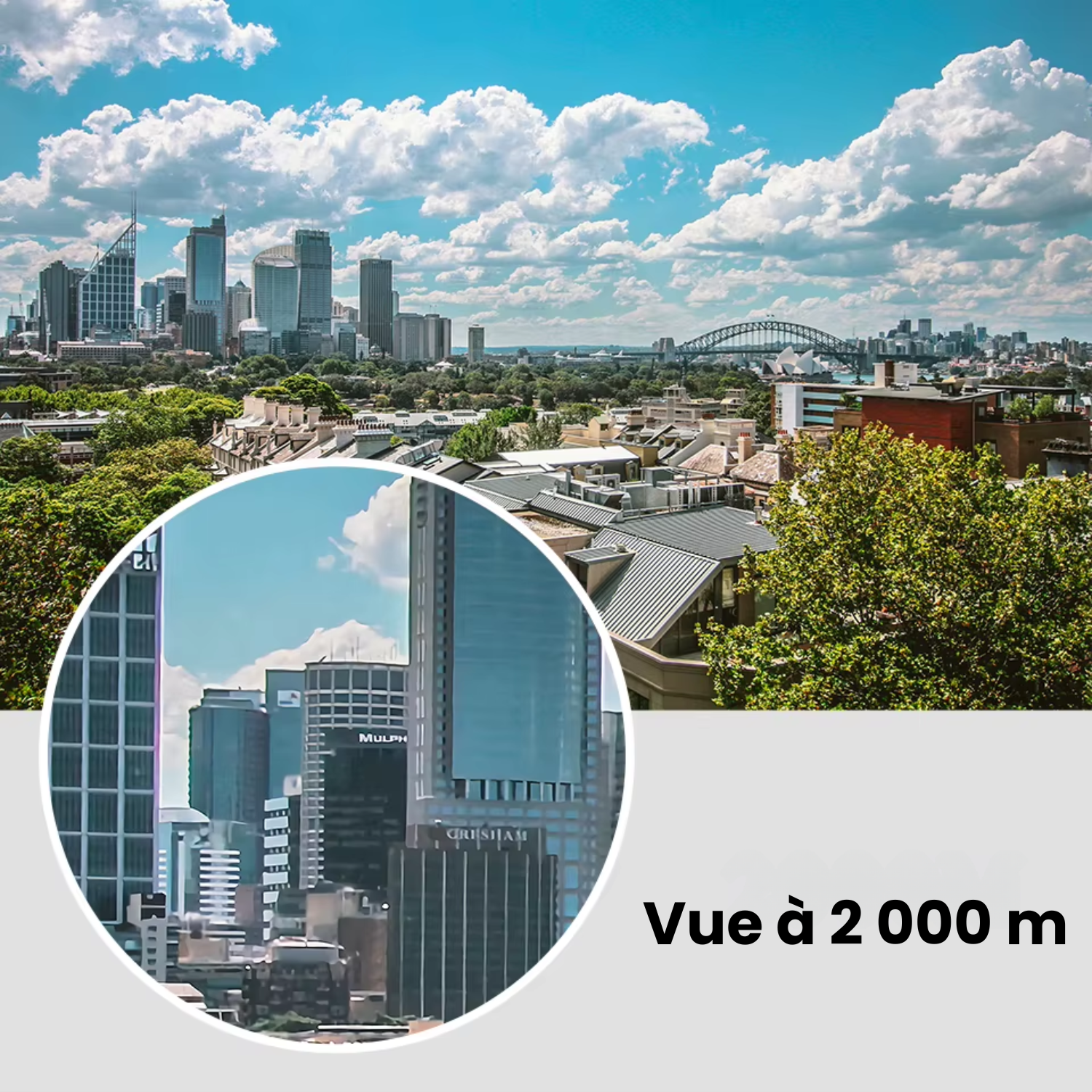 TRAILSIGHT Pocket 40x22 – Jumelles Randonnée de Poche, Facile à transporter, Vision HD Longue Portée, Étanches & Résistantes